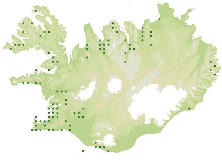 Útbreiðsla - Græðisúra (Plantago major)