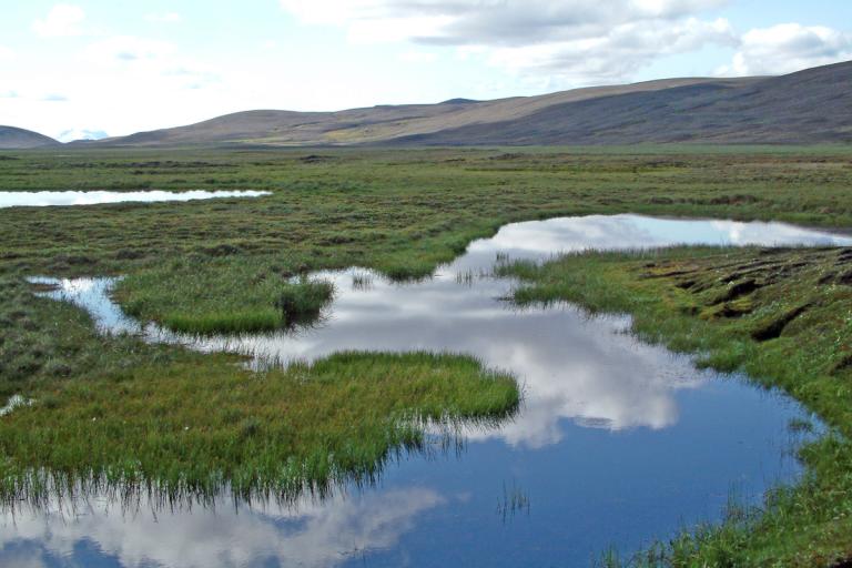 Jökuldalsheiði
