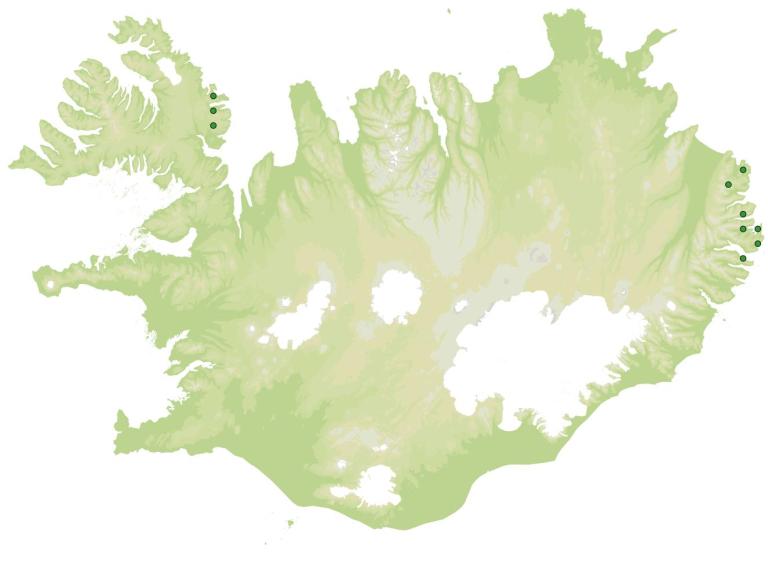 Útbreiðsla - Stinnasef (Juncus squarrosus)
