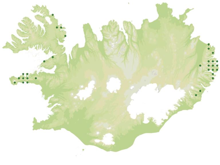Útbreiðsla - Hagastör (Carex pulicaris)