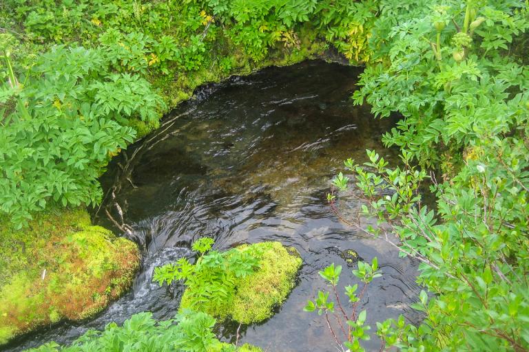 Lindavatn rennur undan hraunjaðri í einni af uppsprettum Herðubreiðarlinda Lindavatn rennur undan hraunjaðri í einni af uppsprettum Herðubreiðarlinda