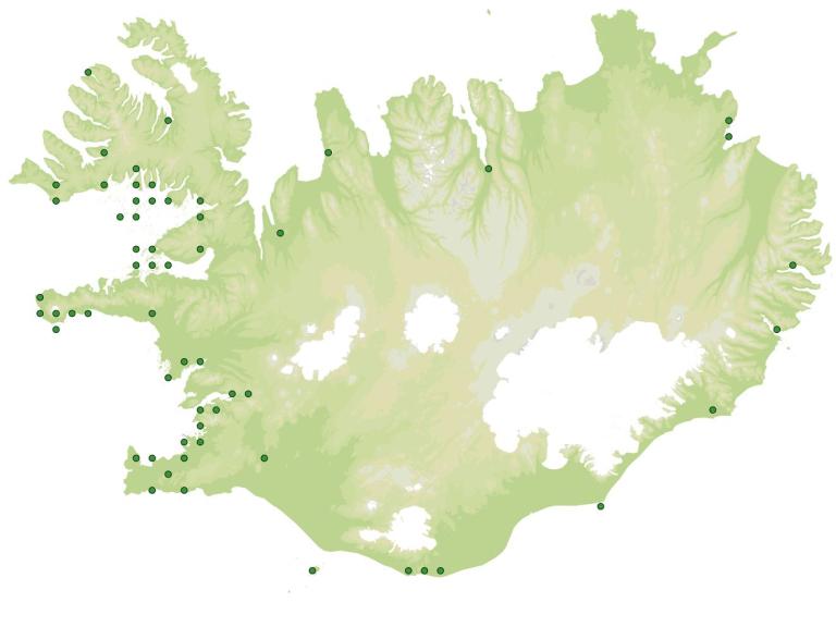 Útbreiðsla - Sæhvönn (Ligusticum scoticum)