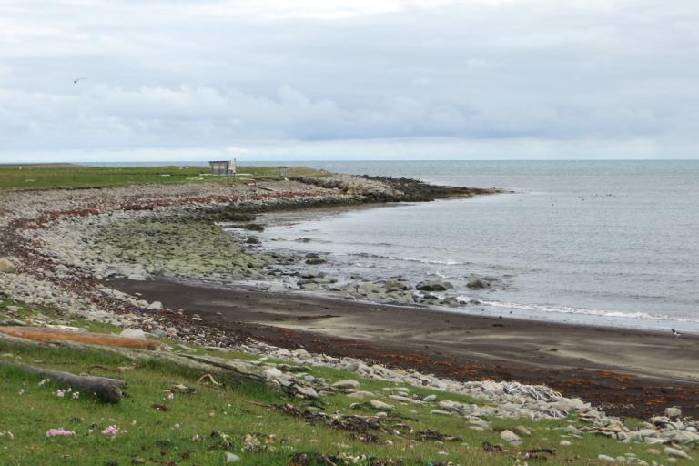 Sigurðarstaðavík á Melrakkasléttu Sigurðarstaðavík á Melrakkasléttu