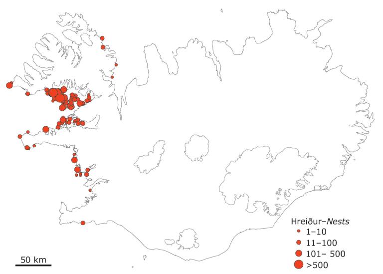 Toppskarfsvörp á Íslandi