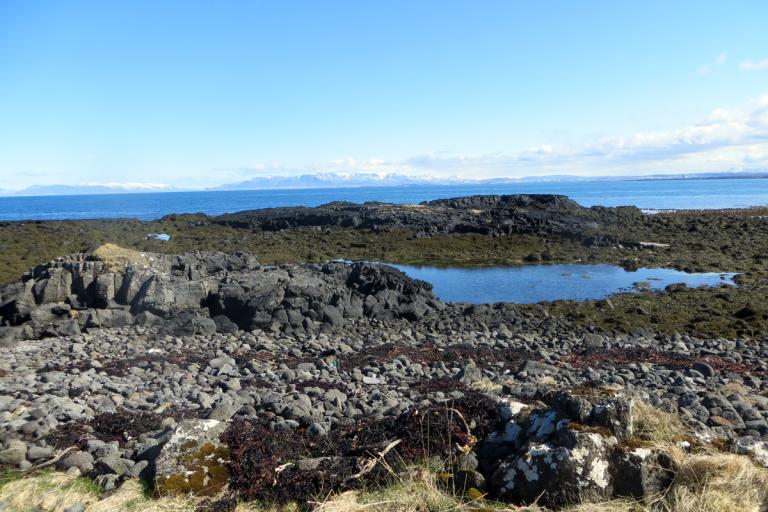 Frá Vatnsleysuströnd Vatnsleysuströnd