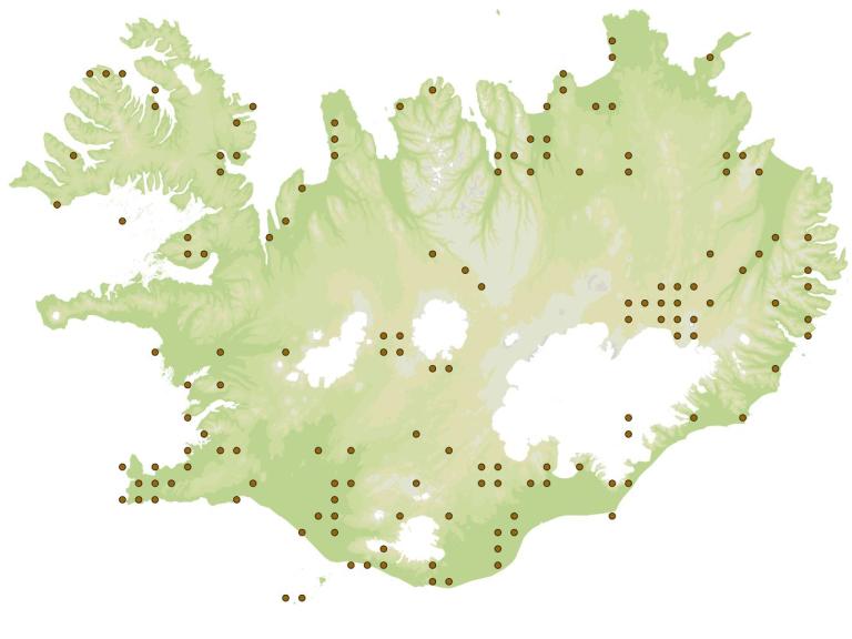 Gullsmiður (Amara quenseli) - fundarstaðir samkvæmt eintökum í safni Náttúrufræðistofnunar Íslands