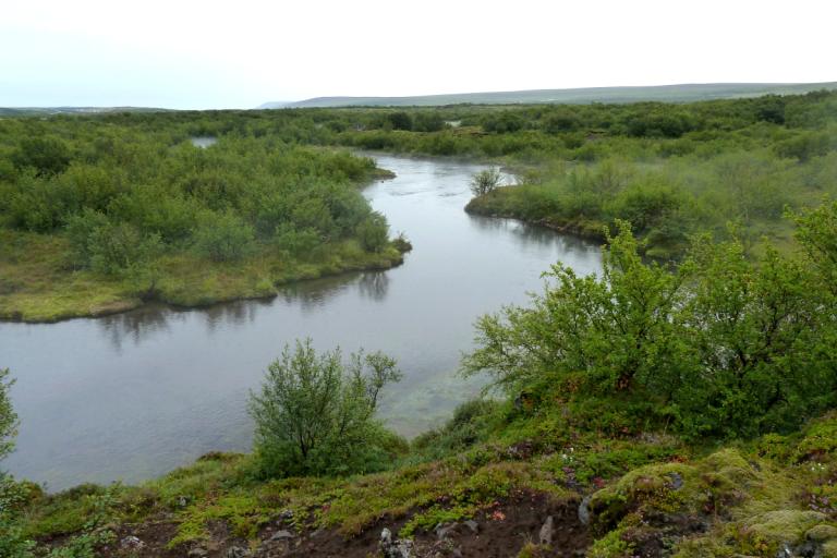 Oddauppsprettur