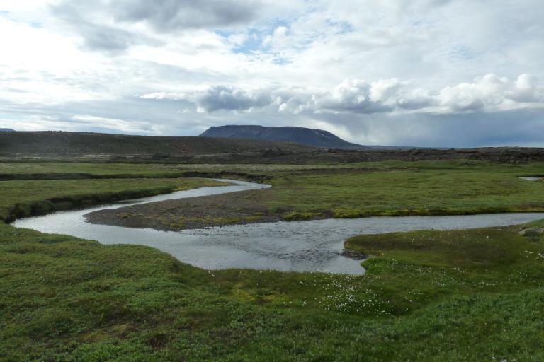 Svartárbotnar