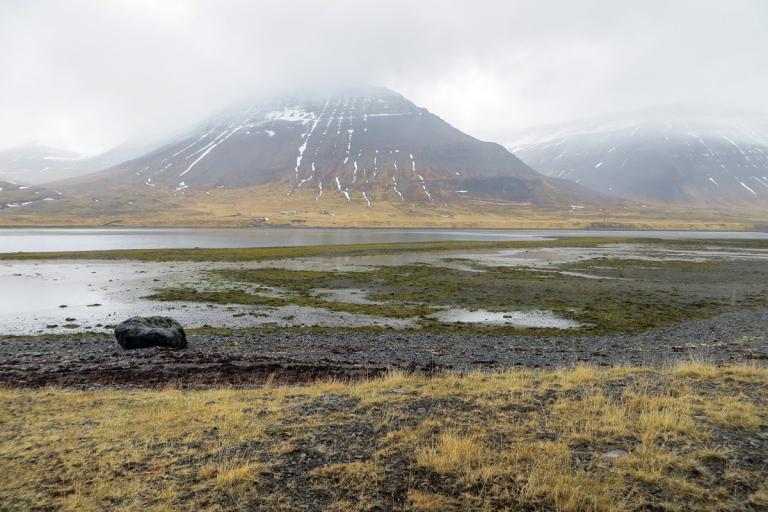 Kræklingaleira í Dýrafirði