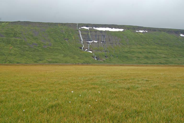 Úr Kaldalóni