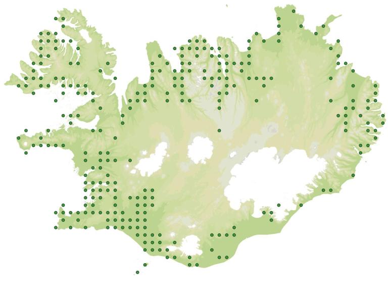 Útbreiðsla - Njóli (Rumex longifolius)