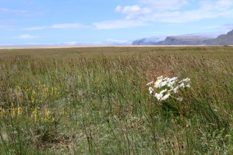 Frá Rauðasandi