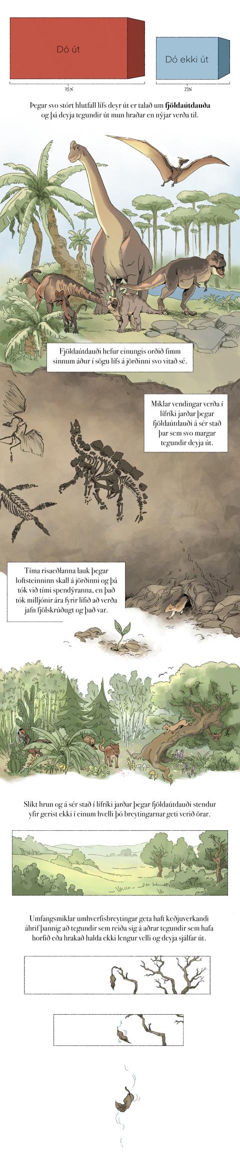 Fræðslumyndasaga um líffræðilega fjölbreytni