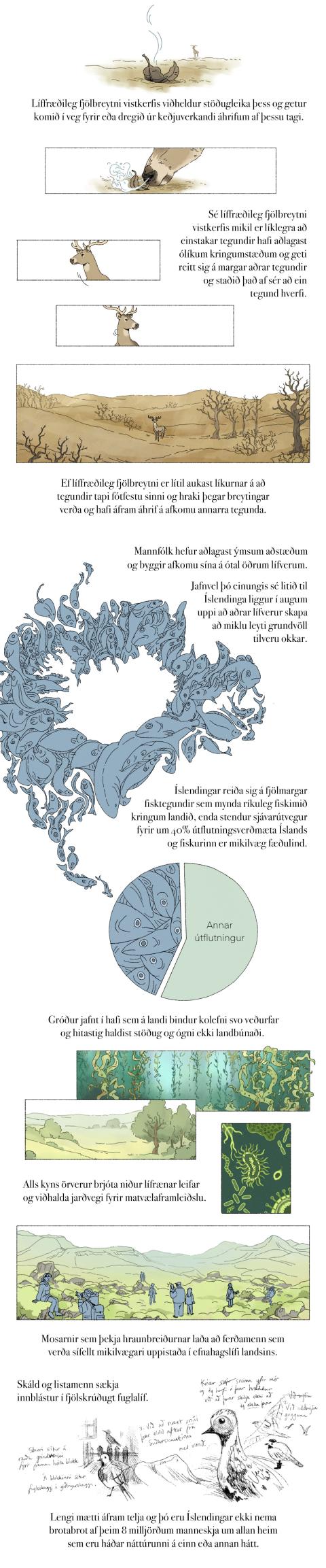 Fræðslumyndasaga um líffræðilega fjölbreytni