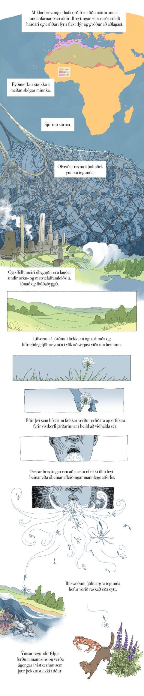 Fræðslumyndasaga um líffræðilega fjölbreytni