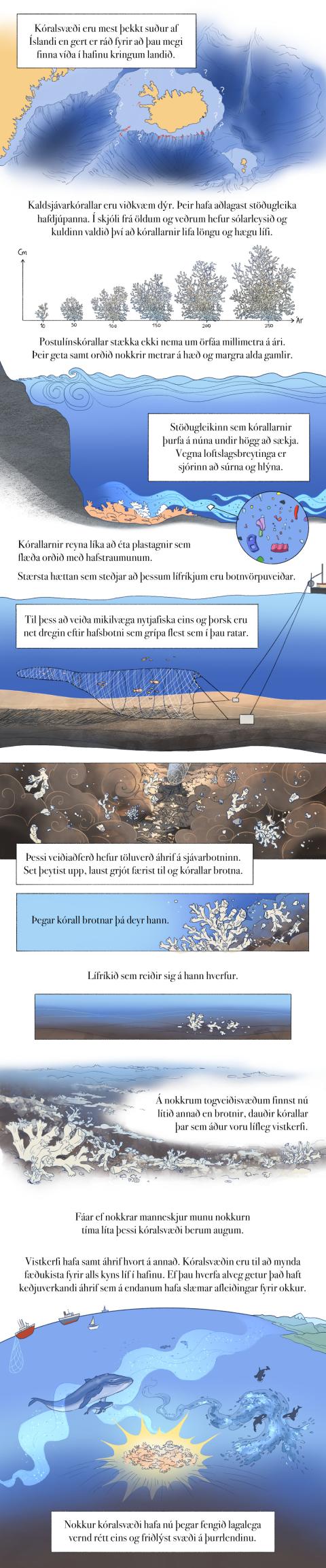 Fræðslumyndasaga um líffræðilega fjölbreytni