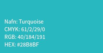 Hönnunarstaðall turquoise