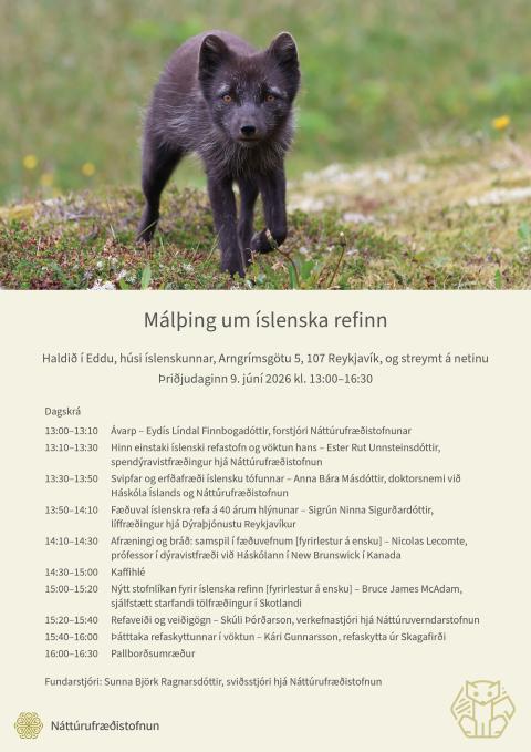Dagskrá málþings um íslenska refinn 9. júní 2026