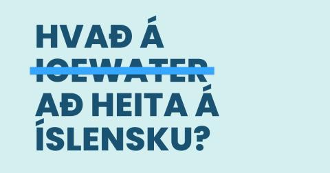 Mynd sem sýnir texta: Hvað á Icewater að heita á íslensku