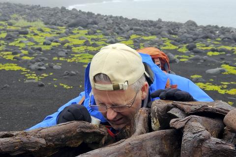 Starri Heiðmarsson, fléttufræðingur hjá Náttúrustofu Norðurlands vestra, kannar fléttuvöxt á járnflykkinu á tanganum á Surtsey