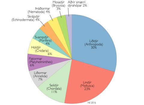 Kökurit er sýnir skiptingu sjávardýra