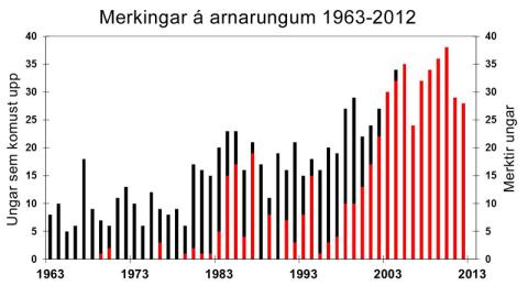 Merkingar á arnarungum 1963-2012 Merkingar á arnarungum 1963-2012