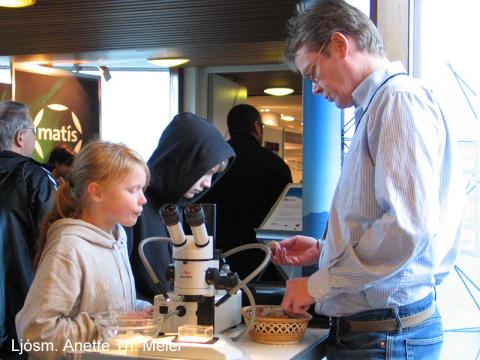 Frá sýningunni Steindir og kristallar á Vísindavöku 2012