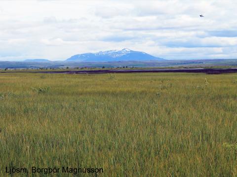 Frá Dagmálatjörn 2013