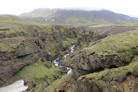 Frá efstu mörkum fýlsvarps við Þórólfsá í Fljótshlíð, séð niður til Þórólfsfells
