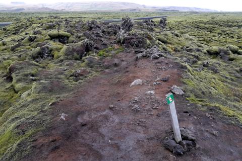 Skemmdur mosi í Eldrhauni í Skaftafellssýslu