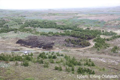 Yfirlitsmynd af svæði sem brann í Heiðmörk 6.6.2012