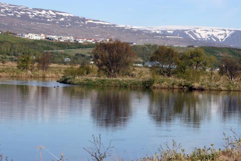 Óshólmar Eyjafjarðarár
