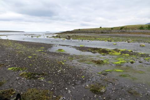 fg-v_4-blikastadakro-leirvogur_sk.jpg Ósar Úlfarsár í Blikastaðakró