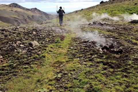 Traðk á jarðhitagróðri í Grændal