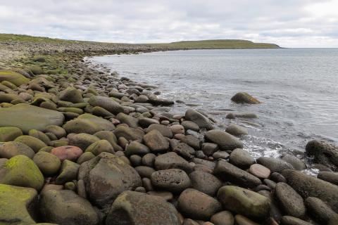 hnullungafjorur_holsvik_raufarhofn.jpg Brimasamar hnullungafjörur