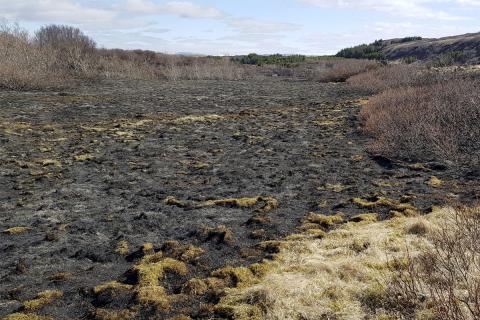 Gróðurskemmdir í Heiðmörk eftir bruna 4. maí 2021 Gróðurskemmdir í Heiðmörk eftir bruna 4. maí 2021