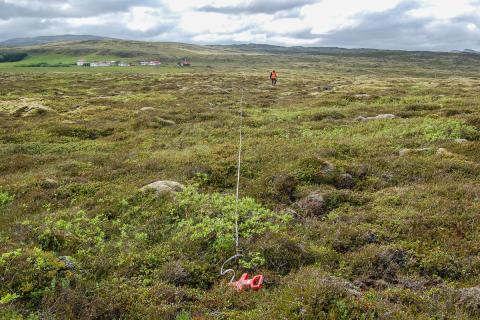 lyngmoavist_laglendi_2-2.jpg Lyngmóavist á láglendi