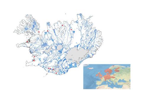 Útbreiðsla bjarnarklóar Útbreiðsla bjarnarklóar