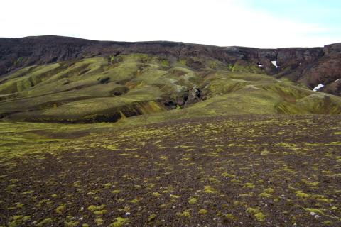Hélumosagróður við Hólmsárlón