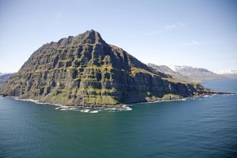 sf-a_4-nordfjardarnipa_ag.jpg Norðfjarðarnípa