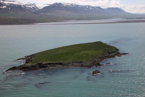 sf-n_3-lundey-skagafjordur_ag.jpg Lundey í Skagafirði