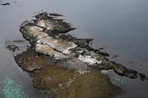 sf-v_6-klofningur_ag.jpg Klofningur út af Ökrum á Mýrum
