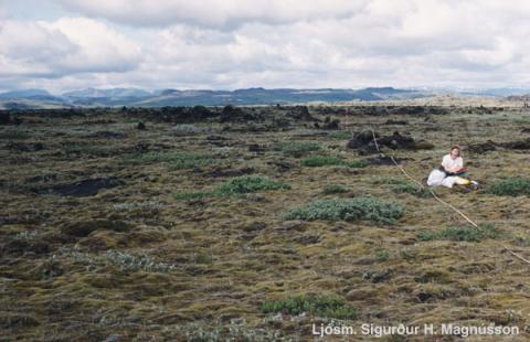 Ásakvíslar í Meðallandi