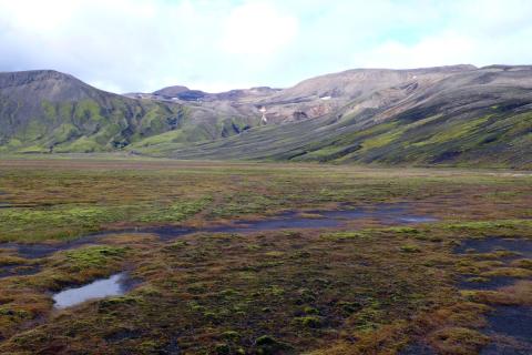 Deiglendi með vætumosum við Hólmsá