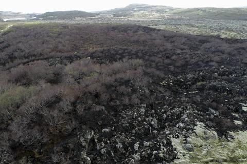 Gróðureldur í Norðurárdal í Borgarfirði 18.-19. maí 2020 Birkiskógurinn (Hólmaskógur og Mjóengisskógur) sem brann í Norðurárdal 18.-19. maí 2020
