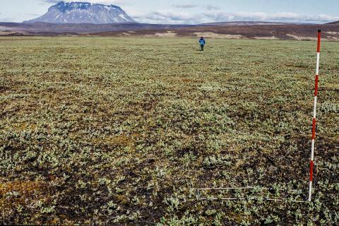 vidimoavist1-2.jpg Víðimóavist