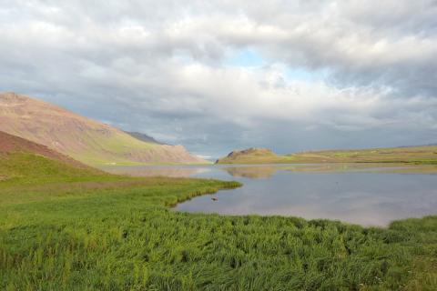 vot-n_3-vatnsdalur_as.jpg Flóðið í Vatnsdal