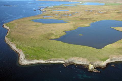vot-n_5-rifsnes-a-skaga_ag.jpg Rifsnes á Skaga
