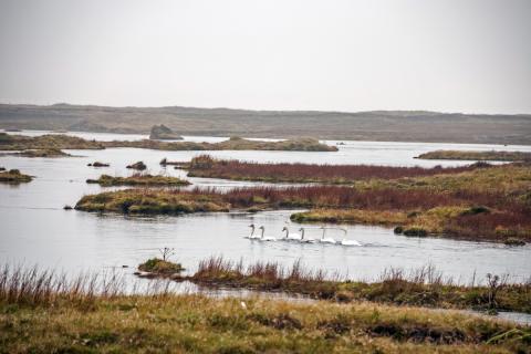 Eldvatn í Meðallandi