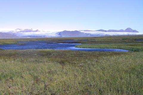 vot-s_4-thjorsarver_shm.jpg Þjórsárver